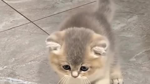 Warning: This Video Will Give You Baby Fever!