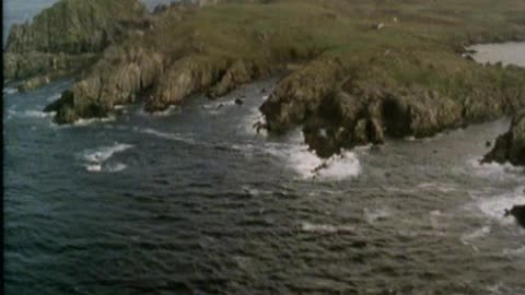 Infamous Assassinations: Part 17: Assassination of Michael Collins