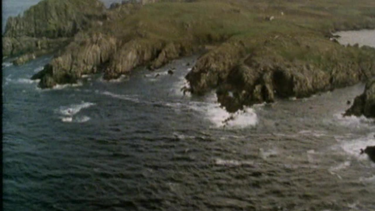 Infamous Assassinations: Part 17: Assassination of Michael Collins