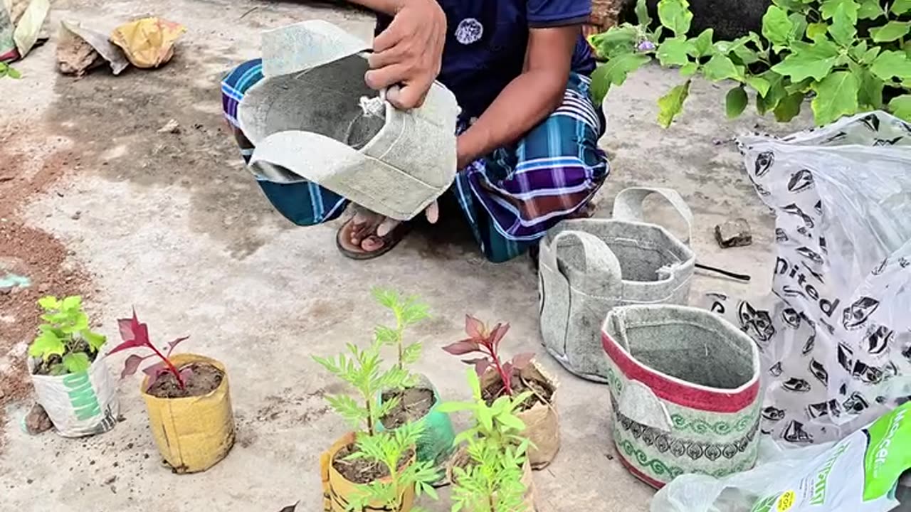 শীতকালের ফুল গাছ লাগানোর জন্য ব্যবহার করুন Siraj Tech এর Geo Bag | Winter Flower