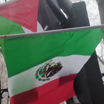 21 de febrero: Día Internacional de la Lengua Materna.