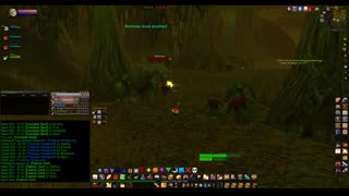 Turtle wow - PUG Black Moras custom dungeon - Paladin POV - no commentary