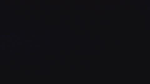 The Tortoise #shorts