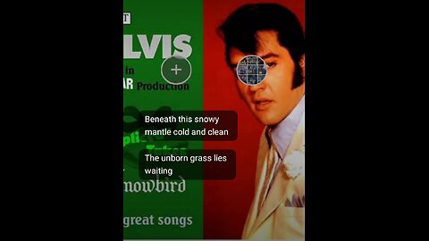 Snow Bird Elvis Anne.Murray. .. Grant333