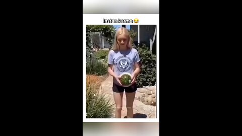 funny videos