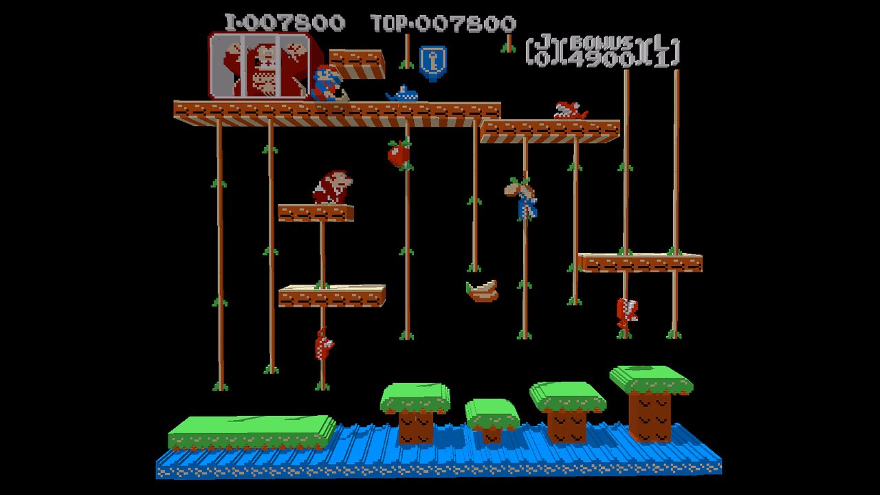 3dSen: Donkey Kong Jr.