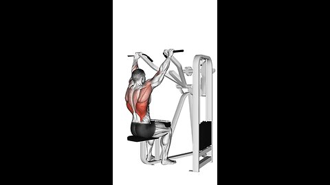 Lever Front Pulldown Exercise.
