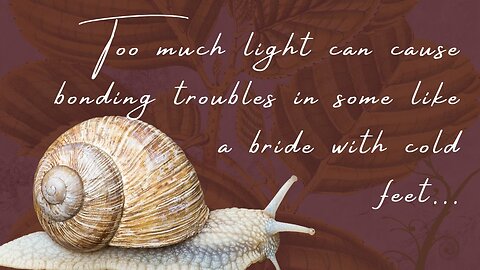 Too much light can cause bonding troubles (fear of commitment or abandonment) in some like a bride with cold feet...