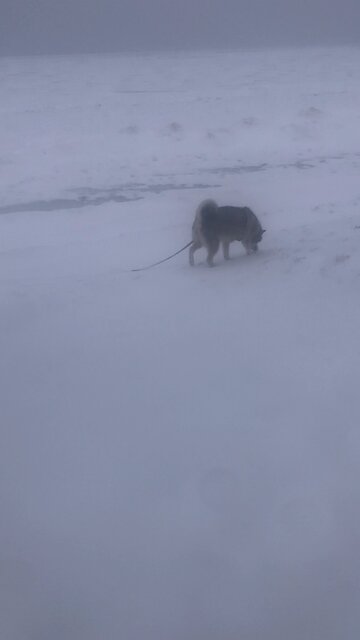 Wednesday December 31, New Year’s Eve, A prayer 🙏 of Thanksgiving praise be to Christ Jesus.9