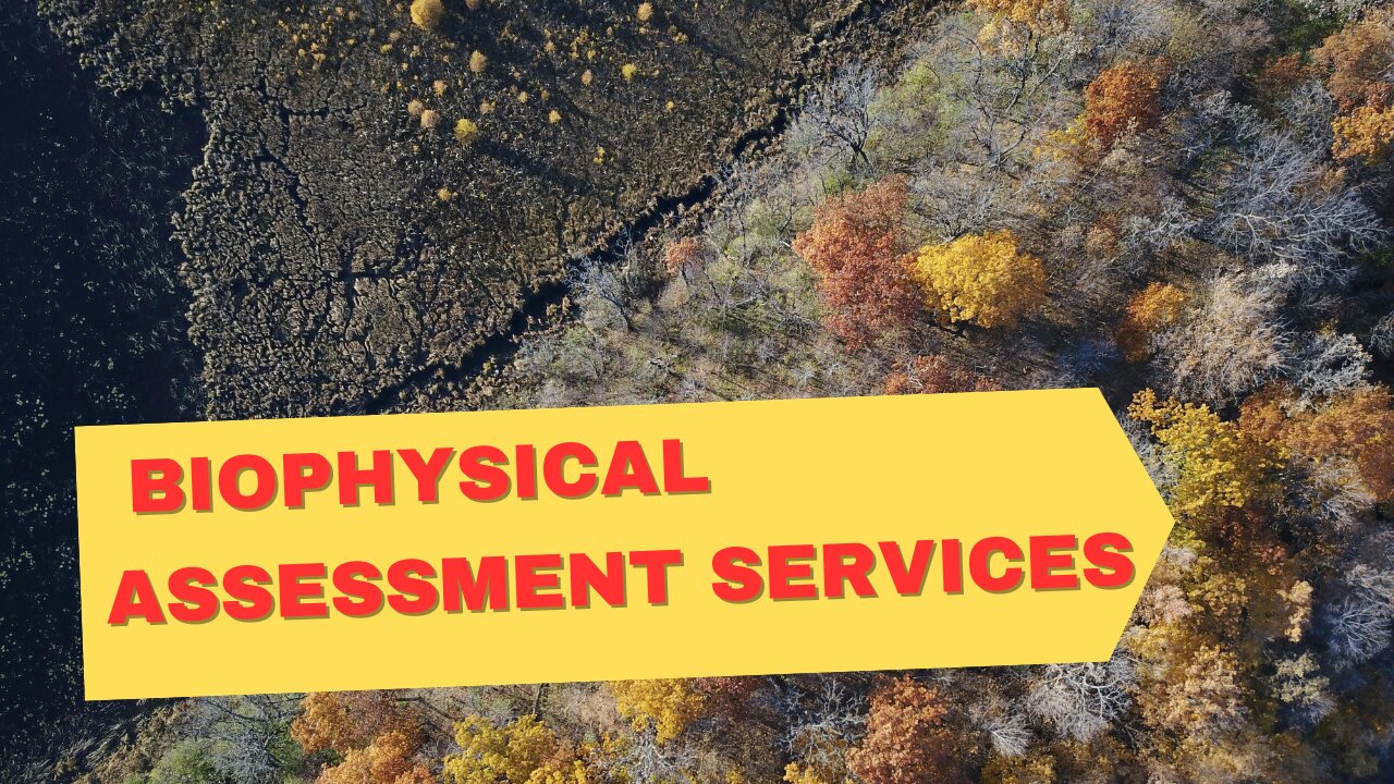 How to Find Biophysical Assessment Services