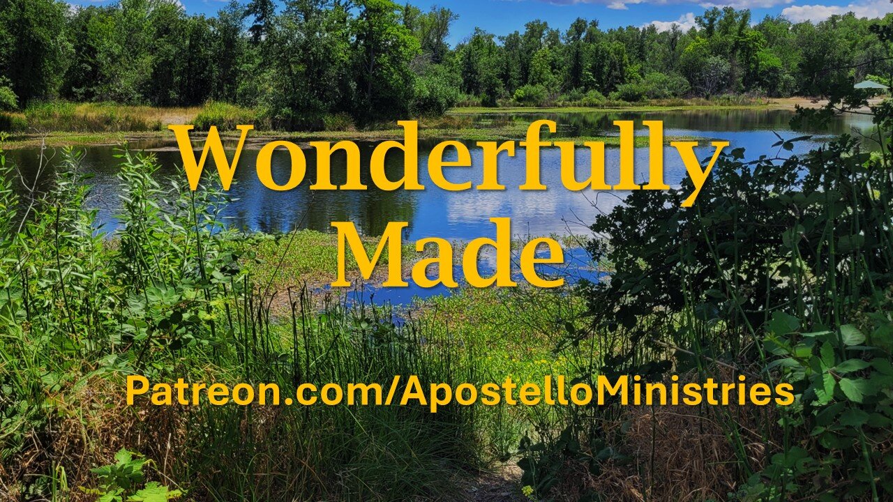 Wonderfully Made