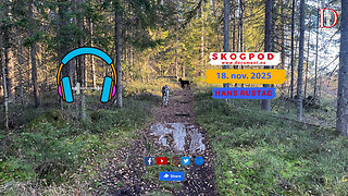 Skogpod 18. november 2025