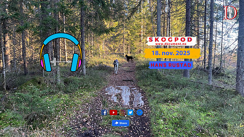 Skogpod 18. november 2025
