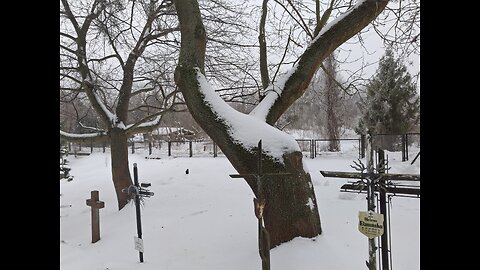 Preply Is Technofeudalist Scumfuckery (And So Is Everything Else)