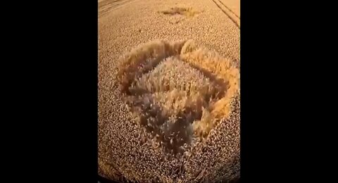 FARMERS FILMED THE CREATION OF CROP CIRCLES - VIBRATIONS - DANGER IS CLOSER THAN YOU THINK 👊