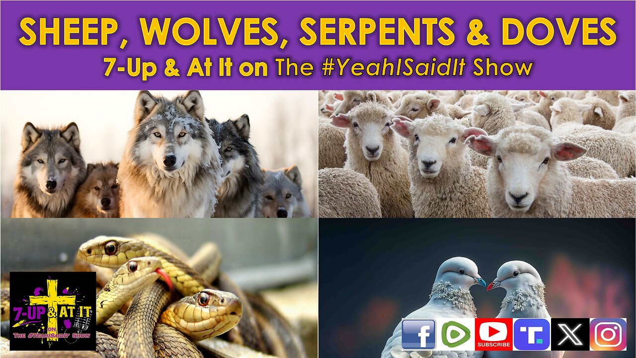 WORD OF THE DAY: MATTHEW 10:16 - SHEEP, WOLVES, SERPENTS, AND DOVES