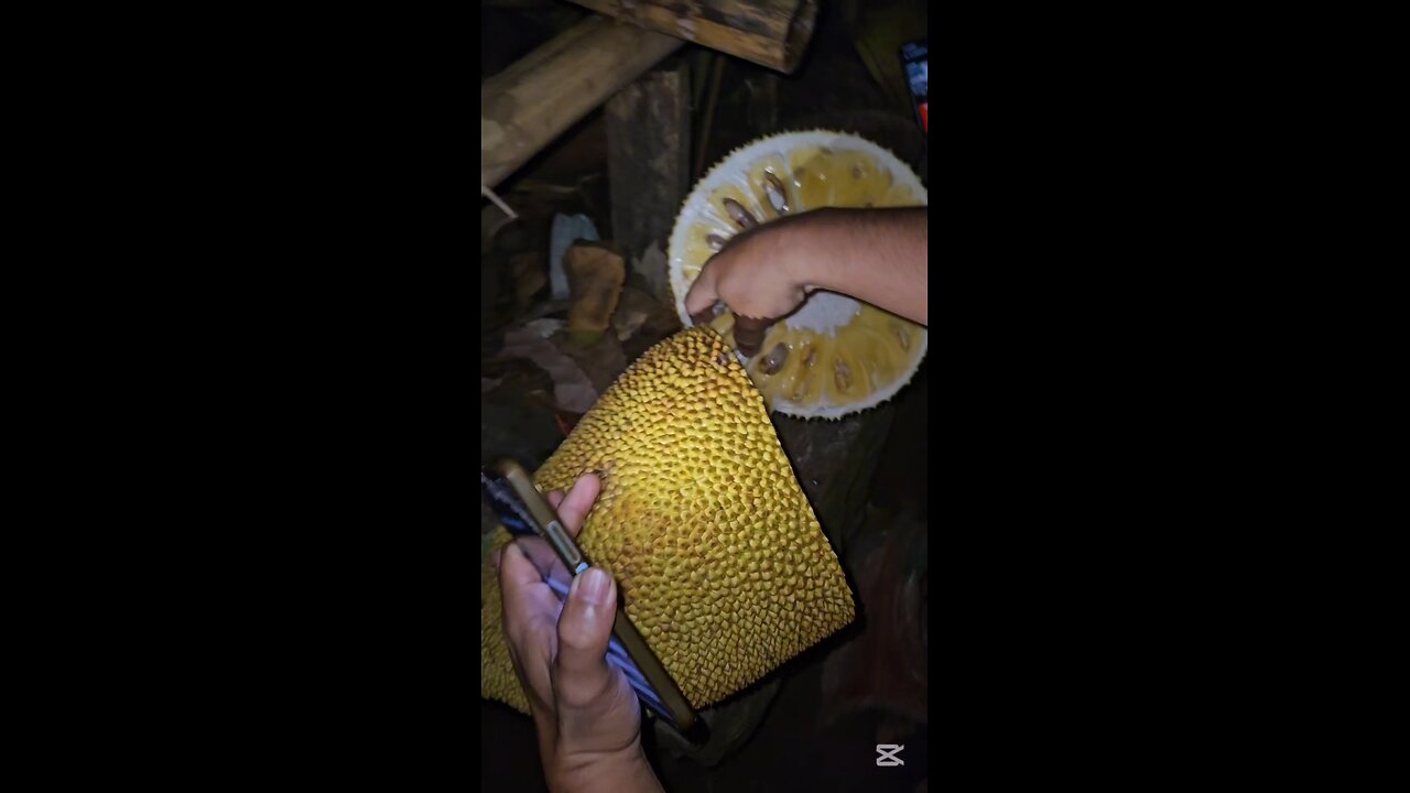 A perfectly ripe jackfruit. 👌 COLONIA DIVINA. 완벽히 익은 잭프루트