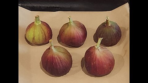 52 Sundays "Almost Winter" Garden