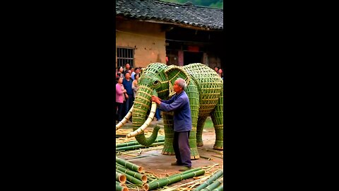Elephant 🐘🐘🐘