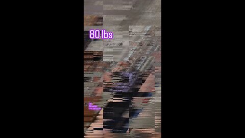 80lbs Seated DB Overhead Press (Lite) | #fitness #shoulders #beast 💪