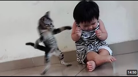 Cat Drama Level: 1000% 🤣🐱🔥