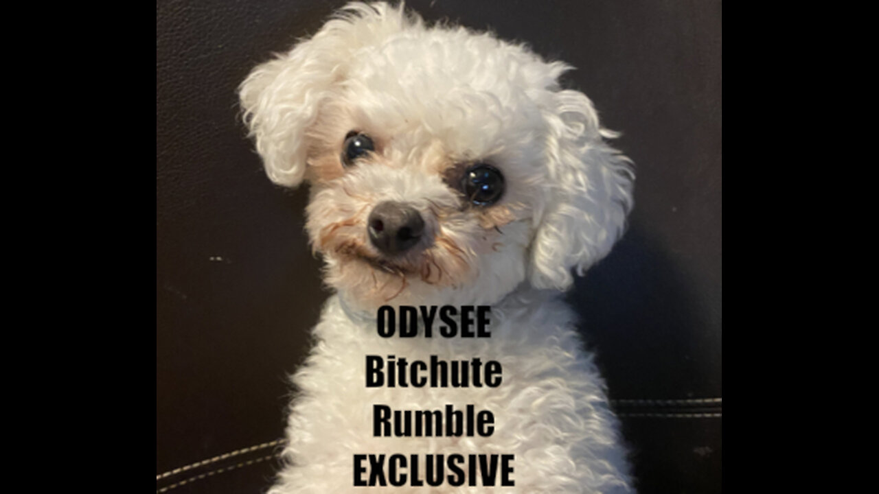 Rumble/Odysee/Bitchute Exclusive Hot Take News Blast!