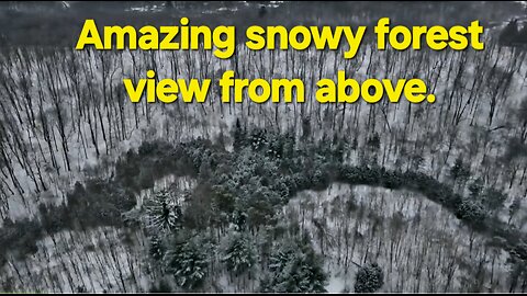 Breathtaking 4K View of Snowy Forest in Toronto #nature #drone