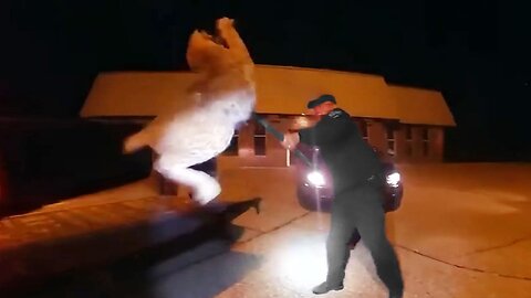 Craziest Police Videos on the Internet 2025 🚨 | Epic Fails, Shocking & Viral Moments