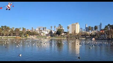 🪀yoYo🪀TAKES CHAT ON AN AFTERNOON STROLL THROUGH LOS ANGELES 12-7-25