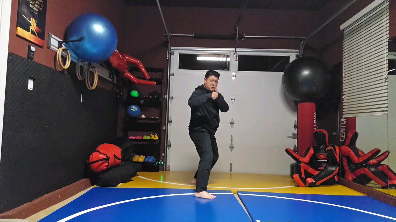 WTD 2 Step Kick Combination 52