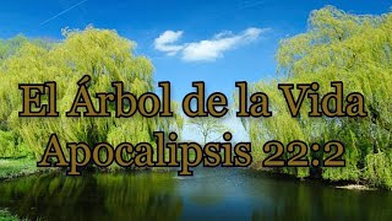 Predicación, El Árbol de la Vida, Apocalipsis 22 2