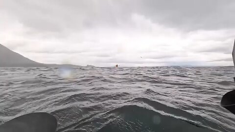 Father describes moments his son was swallowed and released by Humpback off coast of Chile