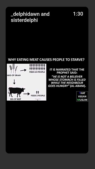 At A Certain Point, It's Not About Whether Animals Have Feelings..