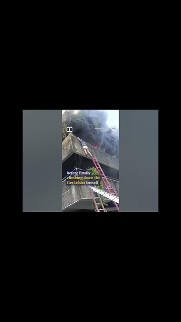 Watch woman save dogs before escaping flames herself during fire in Philippines