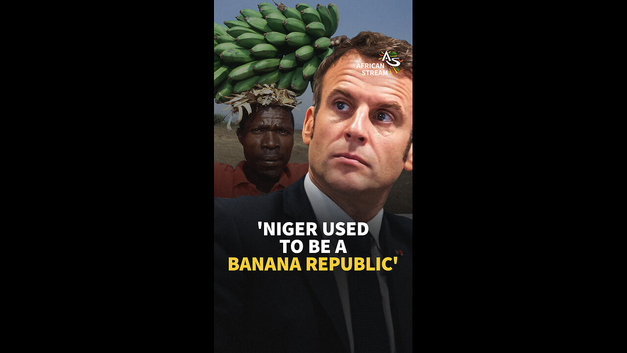 'NIGER USED TO BE A BANANA REPUBLIC'