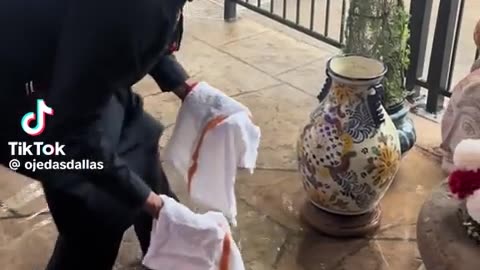 😢🌧️ This Poor Thing Was Abandoned in the Rain! | FunFM