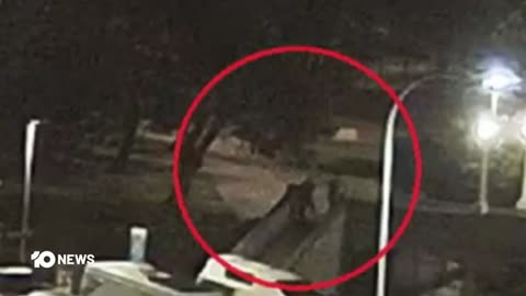 🔥 New Details Revealed in Full Case Against Bondi Beach Gunman | Breaking News