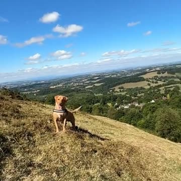 Mysterious black pyramid UFO seen flying over US in broad daylight