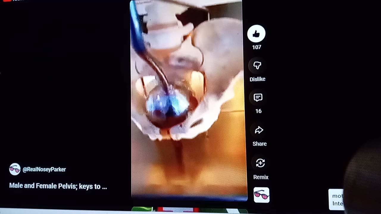 Hope this helps Mirrored from y/t RealNoseyParker