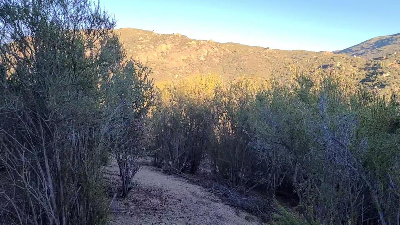 Hiking backyard trails 1 - Gilbert's loop