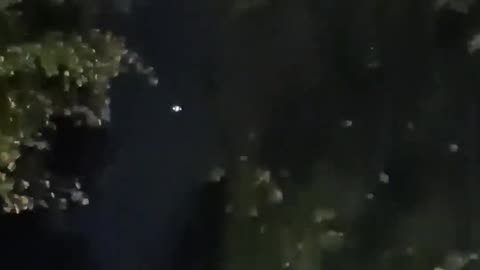 👽🏙️ UFO Seen Over Bellevue, Sep 25 - What Do You Think?! | TheTruthAbove