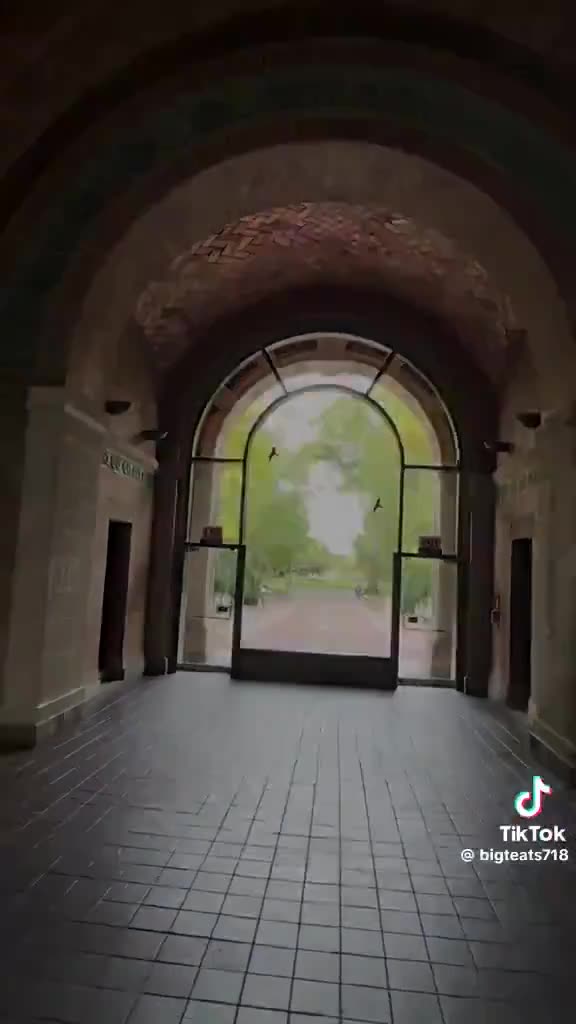 Tartarian remains can be found all over New York!