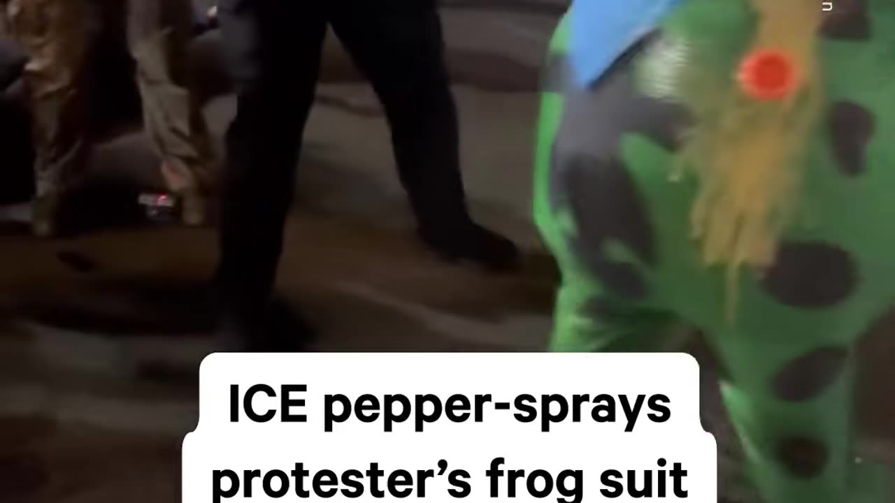 An ICE agent in Portland, OR, targeted a frog-suited protester’s air ...