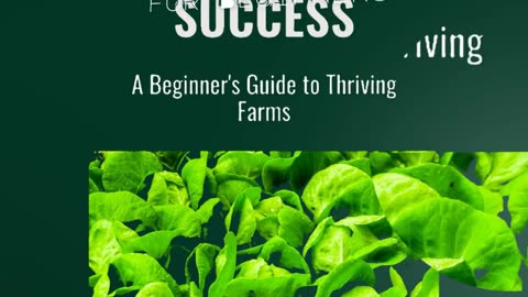 Grow Thriving Spinach: Your Guide to Sustainable Farming, High Yields, and Profitable Harvests