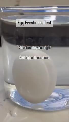 An Egg Freshness Test
