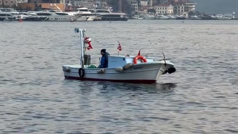 Daily Horoscope | Sagittarius 🌟