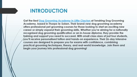 Best Dog Grooming Academy in Little Clacton