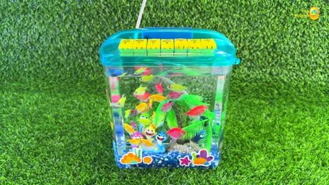 New mini aquarium for betta, goldfish, glofish tetra