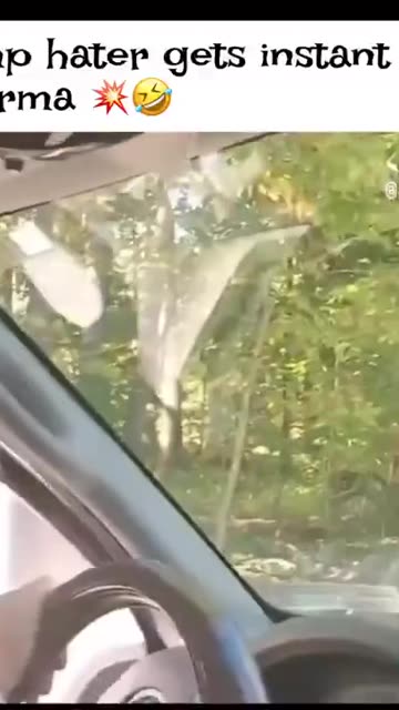 Trump Derangement Syndrome