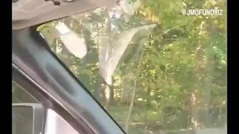 Trump Derangement Syndrome